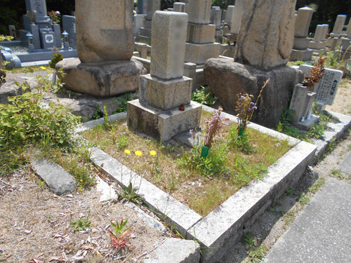 神戸市立鵯越墓園でお墓じまい