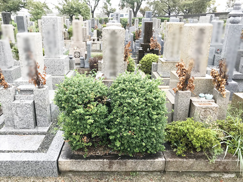 兵庫県尼崎市の尼崎市立弥生ケ丘墓園でお墓じまい