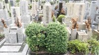 兵庫県尼崎市の尼崎市立弥生ケ丘墓園でお墓じまい